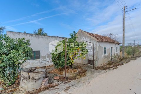 Villa i Santarem, Santarem, Santarem - € 73.000 | Ref: FR931 - foto 20