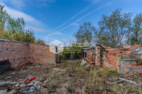 Villa i Santarem, Santarem, Santarem - € 73.000 | Ref: FR931 - foto 22