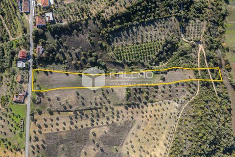 Tomt i Santarem, Santarem, Santarem - € 70 000 | Ref: FR935 - foto 3