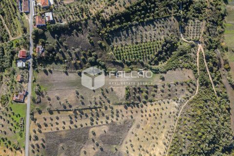 Tomt i Santarem, Santarem, Santarem - € 70 000 | Ref: FR935 - foto 2