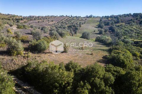 Tomt i Santarem, Santarem, Santarem - € 70 000 | Ref: FR935 - foto 4