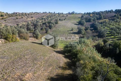 Tomt i Santarem, Santarem, Santarem - € 70 000 | Ref: FR935 - foto 6