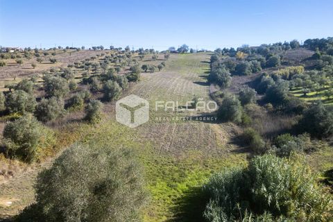 Tomt i Santarem, Santarem, Santarem - € 70 000 | Ref: FR935 - foto 7