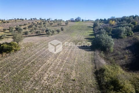 Tomt i Santarem, Santarem, Santarem - € 70 000 | Ref: FR935 - foto 9
