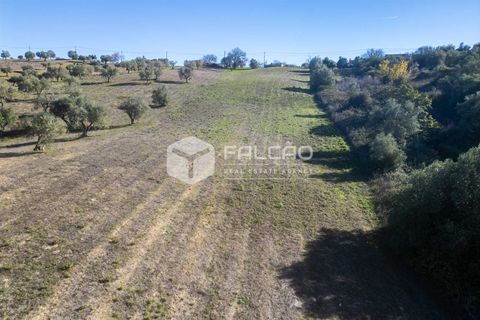 Tomt i Santarem, Santarem, Santarem - € 70 000 | Ref: FR935 - foto 10
