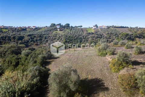 Tomt i Santarem, Santarem, Santarem - € 70 000 | Ref: FR935 - foto 12