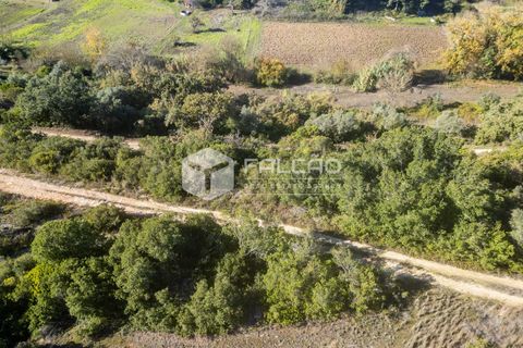 Tomt i Santarem, Santarem, Santarem - € 70 000 | Ref: FR935 - foto 13