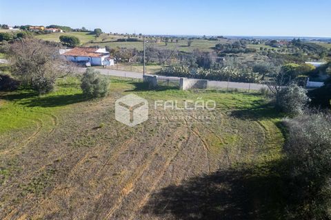 Tomt i Santarem, Santarem, Santarem - € 70 000 | Ref: FR935 - foto 15