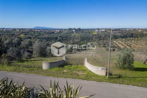 Tomt i Santarem, Santarem, Santarem - € 70 000 | Ref: FR935 - foto 17