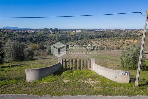 Tomt i Santarem, Santarem, Santarem - € 70 000 | Ref: FR935 - foto 18