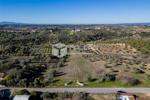 Tomt i Santarem, Santarem, Santarem - € 70 000 | Ref: FR935 - foto 19