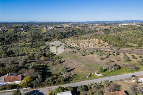 Tomt i Santarem, Santarem, Santarem - € 70 000 | Ref: FR935 - foto 20