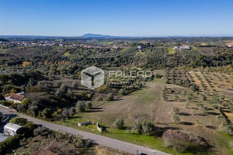 Tomt i Santarem, Santarem, Santarem - € 70 000 | Ref: FR935 - foto 21
