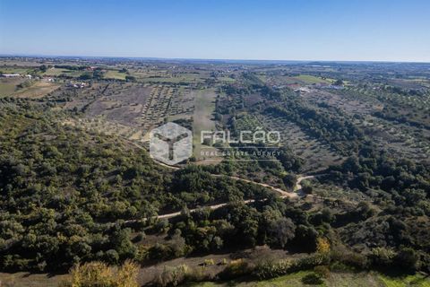Tomt i Santarem, Santarem, Santarem - € 70 000 | Ref: FR935 - foto 22