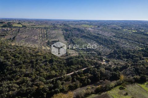 Tomt i Santarem, Santarem, Santarem - € 70 000 | Ref: FR935 - foto 23
