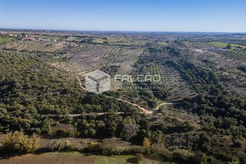 Tomt i Santarem, Santarem, Santarem - € 70 000 | Ref: FR935 - foto 24