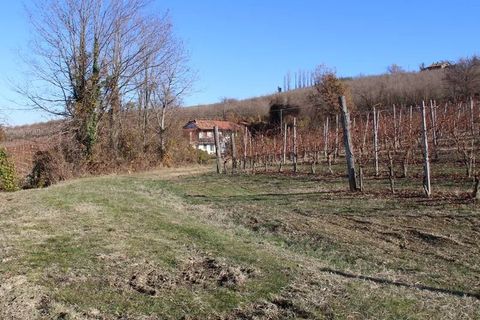 Landejendom i Dogliani, Cuneo, Dogliani - € 195.000 | Ref: DGL245 - foto 2