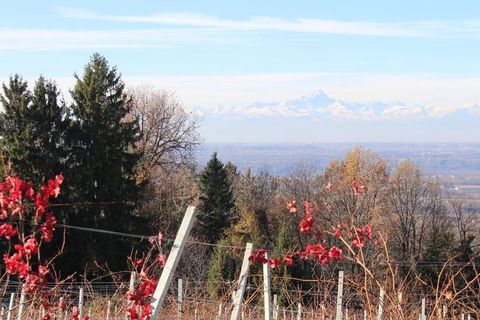 Landejendom i Dogliani, Cuneo, Dogliani - € 195.000 | Ref: DGL245 - foto 27