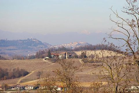 Landejendom i Dogliani, Cuneo, Dogliani - € 195.000 | Ref: DGL245 - foto 29