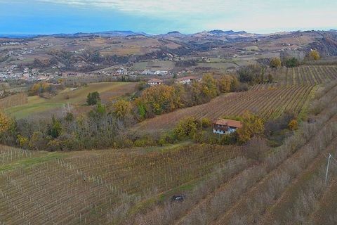 Landejendom i Dogliani, Cuneo, Dogliani - € 195.000 | Ref: DGL245 - foto 1