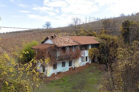 Landejendom i Dogliani, Cuneo, Dogliani - € 195.000 | Ref: DGL245 - foto 3