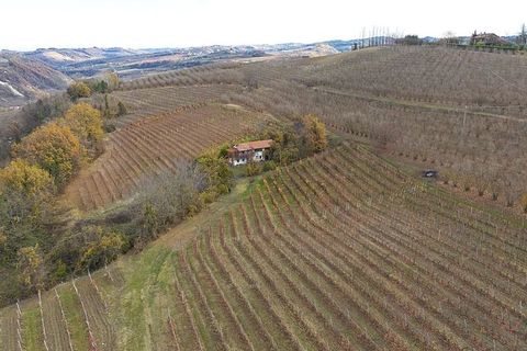 Landejendom i Dogliani, Cuneo, Dogliani - € 195.000 | Ref: DGL245 - foto 23