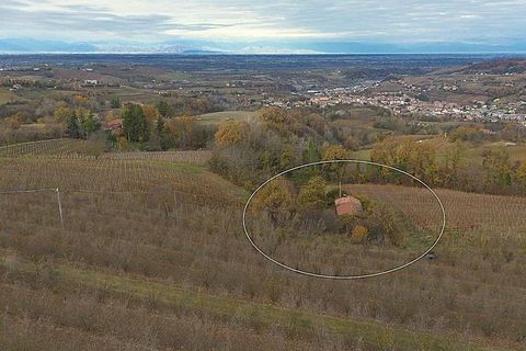 Landejendom i Dogliani, Cuneo, Dogliani - € 195.000 | Ref: DGL245 - foto 24