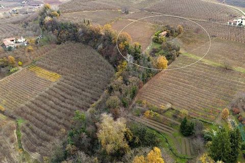 Landejendom i Dogliani, Cuneo, Dogliani - € 195.000 | Ref: DGL245 - foto 25