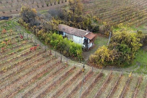 Landejendom i Dogliani, Cuneo, Dogliani - € 195.000 | Ref: DGL245 - foto 26