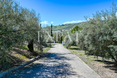 Landejendom i Alcaucin, Malaga, Alcaucin - € 415.000 | Ref: 0463 - foto 5