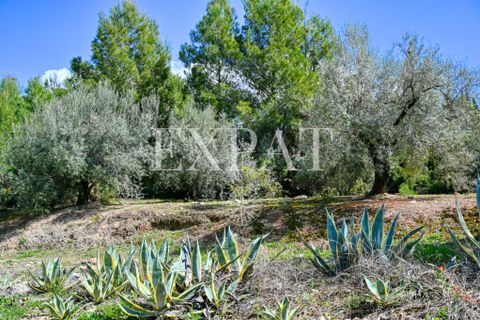 Landejendom i Alcaucin, Malaga, Alcaucin - € 415.000 | Ref: 0463 - foto 6