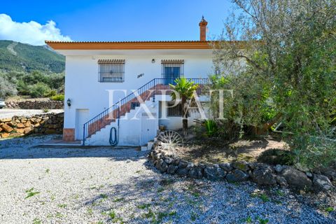 Landejendom i Alcaucin, Malaga, Alcaucin - € 415.000 | Ref: 0463 - foto 22
