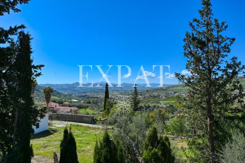 Landejendom i Alcaucin, Malaga, Alcaucin - € 415.000 | Ref: 0463 - foto 35