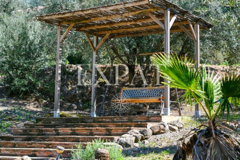 Landejendom i Alcaucin, Malaga, Alcaucin - € 415.000 | Ref: 0463 - foto 36