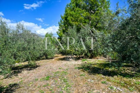 Landejendom i Alcaucin, Malaga, Alcaucin - € 415.000 | Ref: 0463 - foto 38