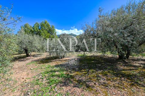 Landejendom i Alcaucin, Malaga, Alcaucin - € 415.000 | Ref: 0463 - foto 39