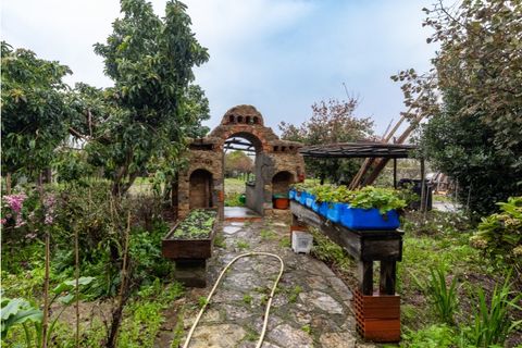 Villa i Sepins e Bolho, Coimbra, Sepins e Bolho - € 375.000 | Ref: CNTTZ 6149 - foto 7