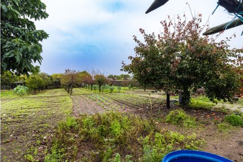 Villa i Sepins e Bolho, Coimbra, Sepins e Bolho - € 375.000 | Ref: CNTTZ 6149 - foto 5
