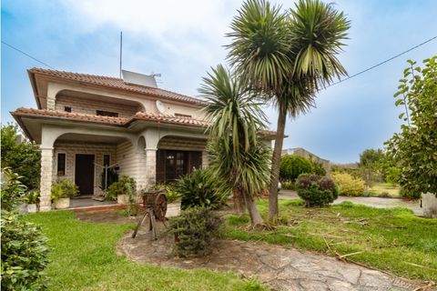 Villa i Sepins e Bolho, Coimbra, Sepins e Bolho - € 375.000 | Ref: CNTTZ 6149 - foto 34