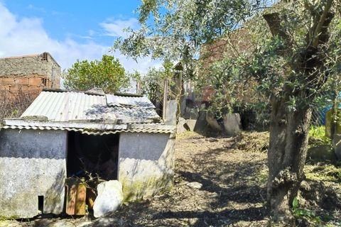 Landejendom i Alandroal, Evora, Alandroal - € 100.000 | Ref: 141 - foto 2