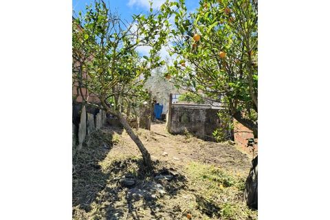 Landejendom i Alandroal, Evora, Alandroal - € 100.000 | Ref: 141 - foto 6