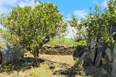 Landejendom i Alandroal, Evora, Alandroal - € 100.000 | Ref: 141 - foto 12