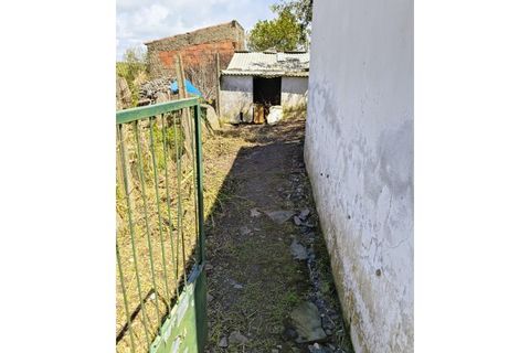 Landejendom i Alandroal, Evora, Alandroal - € 100.000 | Ref: 141 - foto 34