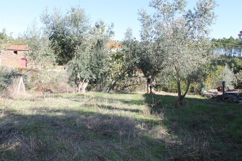 Villa a Proenca-a-Nova, Castelo Branco, Proenca-a-Nova - € 28.500 | Ref: 102250217 - foto 10