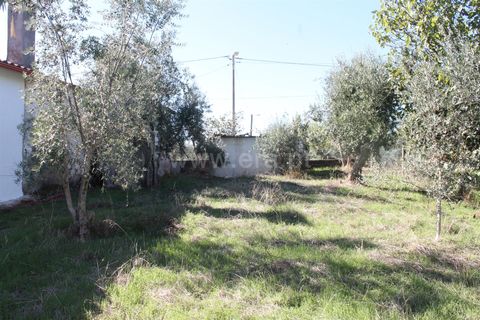 Villa a Proenca-a-Nova, Castelo Branco, Proenca-a-Nova - € 28.500 | Ref: 102250217 - foto 11