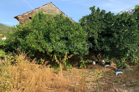 Villa i Proenca-a-Nova, Castelo Branco, Proenca-a-Nova - € 47 500 | Ref: 102250219 - foto 9