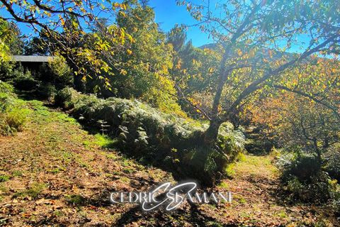 Terra a Castans, Aude, Castans - € 32.000 | Ref: 429740CSLA - foto 2