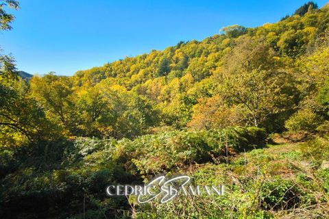 Terra a Castans, Aude, Castans - € 32.000 | Ref: 429740CSLA - foto 3