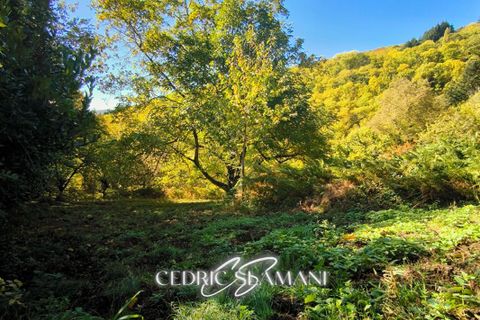 Terra a Castans, Aude, Castans - € 32.000 | Ref: 429740CSLA - foto 4