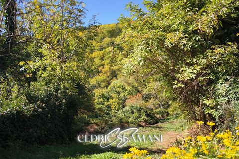 Terra a Castans, Aude, Castans - € 32.000 | Ref: 429740CSLA - foto 5